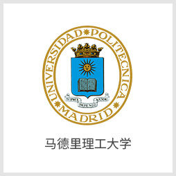 马德里理工大学