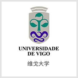 维戈大学